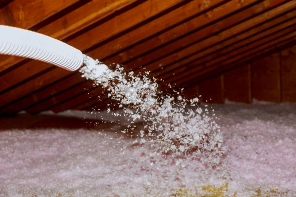Best Insulation Installation Services in Tierra Verde, FL