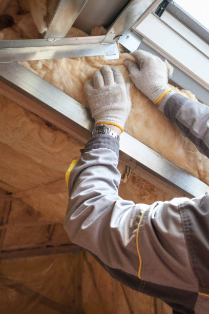 Best Types of Insulation in Tierra Verde, FL