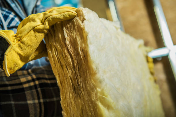 Best Specialty Insulation in Tierra Verde, FL